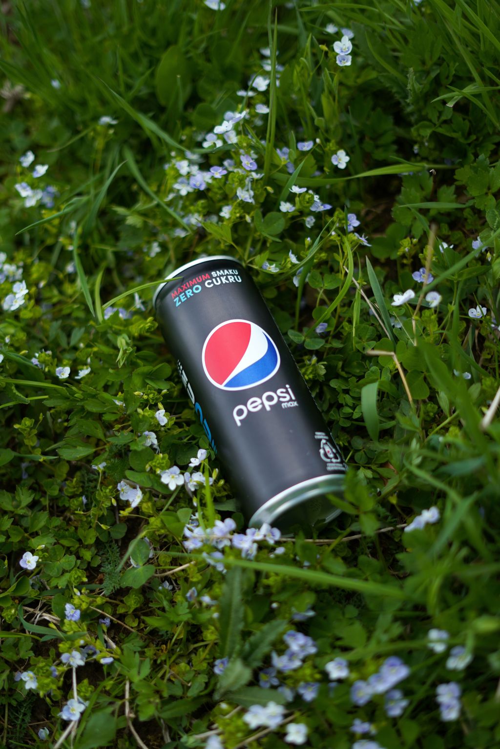 Pepsi Harrier Jet Case, Leonard v. Pepsico, Inc.&nbsp;(1999)